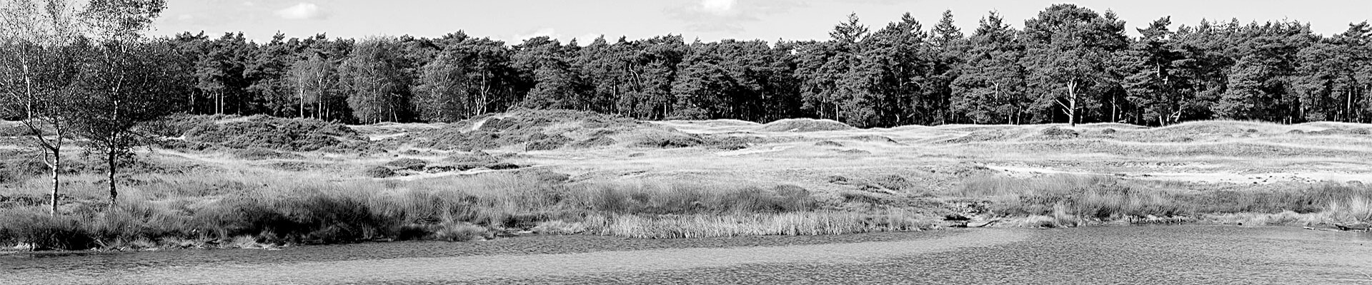 Oppervlaktewater Nederland bos heide